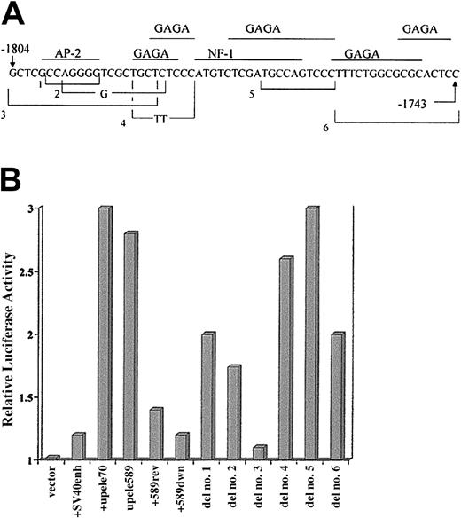 Fig. 7. Analysis of regulatory sequences of the upstream element. / (A) The sequence of the upstream element of the bcl-xpromoter that has strong enhancerlike activity. Also depicted are the structures of several mutations created in that sequence that were analyzed for functional activity. Mutants 1 through 6 are indicated by brackets encompassing a sequence deleted from the normal sequence. Bases shown within a bracket indicate that those bases were substituted for the deleted sequence. The transcription factors indicated above the sequence were retrieved by the Transcription Element Search Software (www.cbil.upenn.edu/tess), based on consensus sequence motifs found by that program. The motifs of the factors shown are present in homologous sequences of the mouse and human bcl-x genes. GAGA factor has great importance for transcription in Drosophila, but no homolog of it has been identified in mammalian cells. (B) Results of transient transfection assays in HCD57 cells using constructs of the enhancer test vector, PGL3-Promoter Vector (Promega). This vector contains the SV40 promoter. The plasmids represented by the histogram columns contain, from left to right: vector alone; vector containing the SV40 enhancer; vector with bcl-x promoter sequence from −1804 through −1734 (upele70), forward orientation; vector withbcl-x promoter −1801 through −1213 (upele589), forward orientation; vector with upele589 in reverse orientation; vector with upele 589 placed downstream of luciferase gene. Other columns labeled as “del” represent experiments with upele70, mutated as indicated in (A), inserted upstream of the luciferase gene and in the normal orientation. Test plasmids were cotransfected with the control plasmid, pRL-TK, as an internal control for experimental variation. The activity of the unmodified PGL3-Promoter Vector was chosen as 1. Transfection experiments for each test plasmid were repeated 3 to 5 times. In all cases, the range of the determined values was equal to or less than 13% of the values shown.