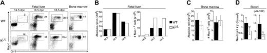 Fig. 2. Neutrophil populations in IkL/L mice. / (A) Phenotypic analysis of WT and IkL/L FL and BM cells using the Gr-1 and Mac-1 markers. Numbers shown correspond to the percentage of cells in each gate. The experiment shown is representative of 3 experiments. (B) Absolute number of total (left) and Mac-1+ (right) FL cells corresponding to fetuses analyzed in Figure 2A. Note that because of the large variability in FL cellularity between fetuses from different litters of the same developmental stage, representative results from individual WT and IkL/L littermates are shown here. (C) Absolute numbers of total BM cells (left) and Mac-1+ cells (right) per femur in 6-week-old mice (n = 11 for WT; n = 13 for IkL/L). (D) Absolute numbers of neutrophil lineage cells in the blood of mice treated or not with G-CSF. (** indicates P < .01, n = 11; *, P < .05, n = 4).