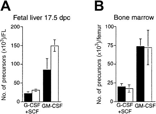 Fig. 3. Myeloid precursors in IkL/Lhematopoietic organs. / Numbers of (A) FL-derived and (B) BM-derived precursors developing after a 7-day methylcellulose culture with G-CSF plus SCF, or GM-CSF. Graphs depict the means and standard deviation (SD) values of triplicate cultures from cells of one mouse. ▪ indicates WT; ■, IkL/L. One experiment representative of 3 is shown.