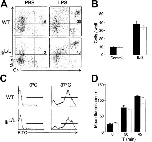 Fig. 7. Neutrophil function is not altered in IkL/Lmice. / (A) Appearance of Mac-1+Gr-1+ cells in the peritoneal cavity 20 hours after intraperitoneal LPS injection. Numbers represent the percentage of Mac-1+Gr-1+ cells. (B) Numbers of BM cells that had migrated from the upper chamber of a transwell apparatus to the lower chamber containing IL-8 after a 90-minute culture. Bars indicate the means ± SDs of triplicate cultures for each genotype of one representative experiment. (▪) indicates WT; (■) indicates IkL/L. (C) Phagocytic activity of WT and IkL/L blood cells as measured by the uptake of opsonized and FITC-conjugated E coli at 37°C for 1 hour. The proportion of internalized bacteria was subsequently measured by flow cytometry. (D) NADPH oxidase-mediated O2− burst was evaluated in BM cells after incubation with immune complexes bound to H2DCF for 30 and 45 minutes at 37°C. Following internalization of the H2DCF, O2− levels were assayed as a function of fluorescence emission by the reduced DCF by flow cytometry. Samples were run in triplicate and the results of a representative experiment are presented as means ± SDs. ▪ indicates WT; ■, IkL/L. One representative experiment is shown for each panel of Figure7.