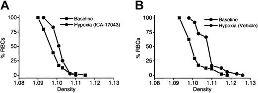 Fig. 6. Effect of oral ICA-17043 on the RBC phthalate density profiles in SAD mice exposed to chronic hypoxia. / The effect of (A) ICA-17043 (10 mg/kg, twice a day) or (B) vehicle on the changes in RBC density profile induced by chronic hypoxia (48 hours at 8% O2) in individual SAD mice. (The data from each mouse are representative of that for the 6 animals in each group.)