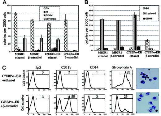 Fig. 2. C/EBPα inhibits erythrocyte differentiation and leads to granulocytic differentiation. / (A) Hematopoietic cells transduced with MIGR1 or MIGR1 C/EBPα-ER were sorted for expression of GFP and plated in clonogenic assays in triplicate with or without β-estradiol. Colonies were scored and counted 12 to 14 days later. One of 2 representative experiments is shown. (B) Transduced hematopoietic cells were sorted for GFP and CD71 expression higher than 102 mean fluorescence intensity (CD71bright) and plated in clonogenic assays in duplicate. Shown is 1 of 3 independent experiments. (C) Cells were collected from the clonogenic assays (see Figure 2B) and analyzed for surface marker expression (CD11b, CD14, and glycophorin A) by flow cytometry. Cytospins were performed and stained with Wright-Giemsa (last panels on the right; original magnification, × 600). Cells transduced with MIGR1 and treated with ethanol or β-estradiol showed the same phenotype as cells transduced with C/EBPα-ER and treated with ethanol (data not shown).