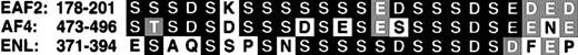Fig. 2. Amino acid similarity of EAF2 to AF4 and ENL. / The region of amino acid similarity identified from the DeCypher II search is rich in serine, aspartic acid, and glutamic acid residues. Identical residues are indicated by black boxes and conserved residues by gray boxes.