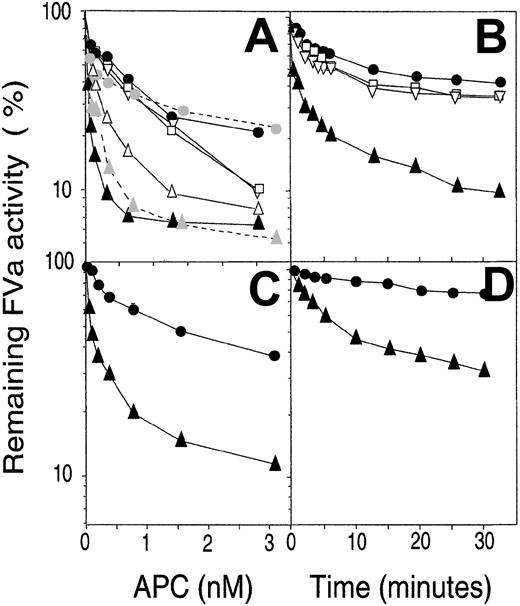 Fig. 5. FVa-degrading capacity of recombinant APC variants. / To investigate the efficiency of the various APC variants in an FVa-degradation system, FVa (0.8 nM) from normal (A-B) or FV Leiden (C-D) plasma was incubated at 37°C for 10 minutes with increasing concentrations (A,C) of the various APC variants in the presence of 25 μM phospholipid vesicles (PS/PC, 10:90, wt/wt). The remaining FVa activity was measured with the PTase assay as described in “Materials and methods.” Alternatively, a time course was performed using 0.4 nM APC, and the FVa activity was followed over time using normal FVa (B) or FVa Leiden (D). Concentration courses of FVa inactivation by WT APC and QGNSEDY-APC were measured both in plasma system and plasma-purified FV system. QGNSEDY-APC, (▴); SEDY-APC, (▵); GNED-APC, (▿); QGN-APC, (■); WT APC, (●). Dotted lines with shaded symbols represent the results obtained with plasma-purified FVa. Note the logarithmic y-axes. Each point is the mean of 2 independent experiments performed in duplicate. The error bars were too small to be seen.