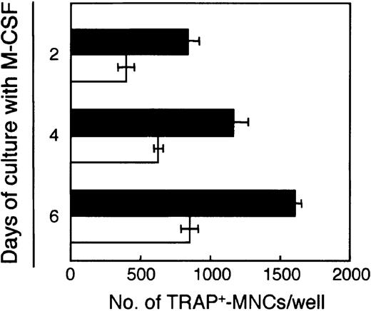 Fig. 4. Osteoclast precursors in the BM cells are enriched by culturing with M-CSF. / Freshly prepared BM cells were cultured with M-CSF (50 ng/mL) for 2, 4, or 6 days, and 103 adherent or nonadherent cells were inoculated into each well of 24-well plates and treated with M-CSF (50 ng/mL) and RANKL (25 ng/mL). After a further 6 days of culturing, the number of TRAP+-MNCs was counted. Bars indicate means ± SD of triplicate cultures. The results obtained with adherent (▪) and nonadherent (■) cells were significantly different on each day of culturing (adherent versus nonadherent cells on days 2, 4, and 6,P < .01; day 2 versus 4 and 6, day 4 versus 6 for both adherent and nonadherent cells, P < .01).