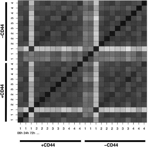 Fig. 1. Hamming distance matrix visualizing the number of genes differing between any 2 samples. / The color scale ranges from black, indicating no difference, to white, indicating a 2828-gene difference. The ordering is as follows (from the lower left corner up and right): CD44-stimulated (indicated as +CD44) sample no. 1 at 6, 24, and 72 hours; CD44-stimulated sample no. 2, at 6, 24, and 72 hours; sample no. 3 at 6, 24, and 72 hours; and sample no. 4 at 6, 24, and 72 hours. In a corresponding series is the control receiving no CD44 stimuli (indicated -CD44).