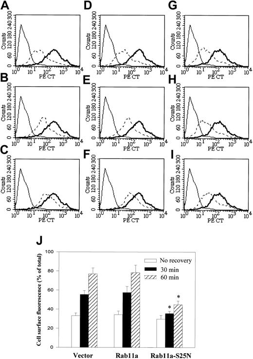 Fig. 8. Role of Rab11a in CXCR2 recycling. / HEK293 cells stably expressing CXCR2 were transiently transfected with plasmids for vector (A-C) Rab11a (D-F) or Rab11a-S25N (G-I). Cells were treated with CXCL8 at 37°C for 30 minutes, then the agonist was removed and the cells were recovered by incubation with agonist-free medium for 0 minutes (A,D,G), 30 minutes (B,E,H), or 1 hour (C,F,I) at 37°C. For the staining of the cell surface receptor, cells were incubated with a monoclonal CXCR2 antibody at 4°C for 1 hour, followed by incubation with FITC-conjugated antimouse IgG at 4°C for 30 minutes. Cells were washed and fixed in 2% formaldehyde in PBS and analyzed in FACScan. Thin solid line represents the staining of cells in the absence of primary CXCR2 antibody (background). Thick solid line represents the immunostaining of cell surface CXCR2 in the cells without CXCL8 treatment (total). Broken line indicates the immunostaining cell surface CXCR2 in the cells treated with CXCL8 and recovered for different intervals. (J) Relative cell surface fluorescence (percentage of total) of the cells recovered for different intervals was quantified. Data are means ± SEMs of 4 independent experiments (*P < .05).