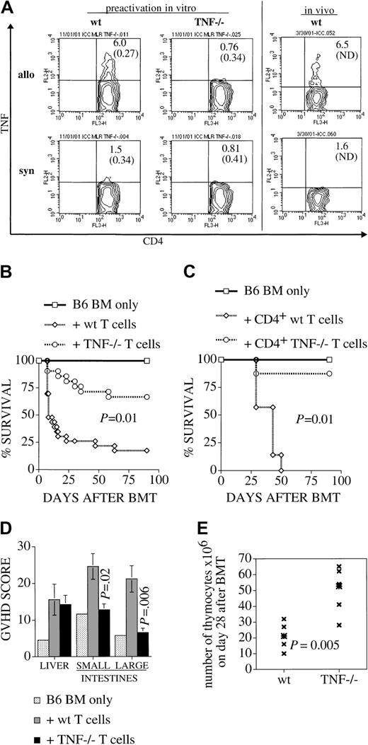 Fig. 1. Alloactivated wt (but not TNF−/−) T cells express TNF. TNF is required for maximum GVHD induction, and for target organ damage in thymus, small and large bowel, but not liver. / (A) B6 splenocytes of wt or TNF−/− origin (pooled from 4 animals per group) were coincubated in a primary MLR with irradiated allogeneic (C3HxB6) stimulator cells for 5 days, then harvested, and restimulated for 15 hours with allogeneic or syngeneic irradiated stimulator cells (T-cell depleted, to reduce contamination with cytokine expressing stimulator cells) in the presence of Brefeldin A. All cells (“allo” and “syn”) are initially stimulated with allogeneic stimulators for 5 days for technical reasons (syngeneic “stimulation” does not yield viable cells after 5 days). Only for overnight restimulation on day 5 are responder cells divided into allo- or syngeneic secondary stimulation in the presence of Brefeldin A. This explains the small remaining fraction of IFN-γ–expressing cells in the syngeneic control group. The 2 panels on the right side show a similar analysis of splenocytes that were harvested on day 14 after BMT (from recipients which had received allogeneic TCD-BM and T cells), and subsequently restimulated in vitro as described above. Cells were then stained for intracellular TNF. Populations shown are gated for CD4+, CD44+, and CD62L−. Percentages of TNF-expressing cells are indicated (followed by percentage of isotype-control positive cells in parentheses). One experiment representative of 4 separate experiments is shown. (B,C) Lethally irradiated C3HxB6 mice were given transplants of B6 TCD BM with or without the addition of (B) 2 × 106splenic T cells or (C) 1 × 106 purified splenic CD4+ T cells from B6 wt or TNF−/− mice. Survival from GVHD was monitored and plotted as a Kaplan-Meier curve. Groups consisted of 4 animals for the BM-only control group and 7 to 15 animals for the groups receiving T cells. (D-E) C3HxB6 recipients given transplants as described in (A) were killed on day 28 and organs were harvested. (D) Liver, small bowel, and large bowel were analyzed in a blinded fashion with a semiquantitative GVHD scoring system as described. Higher scores indicate more severe GVHD organ damage. (E) Thymi of the same animals were dispersed and total thymocyte number was recorded.