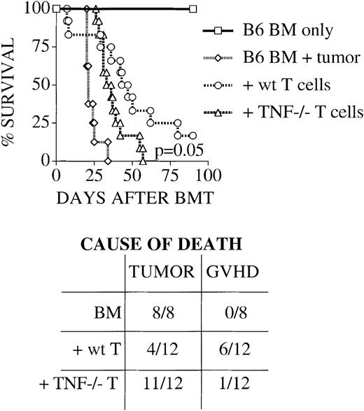 Fig. 2. TNF is required for maximum graft-versus leukemia activity of donor T cells. / Lethally irradiated C3HxB6 mice were given transplants as described in “Materials and methods” with B6 TCD BM with or without the addition of 2 × 106 splenic T cells from B6 wt or TNF−/− mice. Some animals also received 2 × 104 32Dp210 murine leukemia cells on day 0. Survival was monitored daily and cause of death is determined by necropsy as described in “Materials and methods.” Groups consisted of 4 (BM-only group) and 8 to 12 (all other groups) animals per group. Survival is plotted as a Kaplan-Meier curve. Recipients of wt T cells survive longer, and die mostly of GVHD, while recipients of bone marrow (BM) only and of BM + TNF−/− T cells succumb rapidly to tumor, indicating an important role for donor T cell–derived TNF in GVL activity.