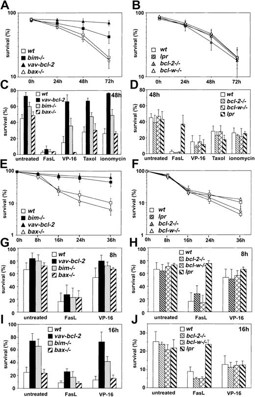 Fig. 1. Bim deficiency and. / bcl-2 transgene expression delay spontaneous, chemotherapeutic drug-induced, and stress-induced apoptosis of granulocytes. Granulocytes from bone marrow (A-D) of wt,vav-bcl-2 transgenic, bim−/−,bax−/−,bcl-w−/−, lpr mice, andbcl-2−/− reconstituted mice (see “Materials and methods”) were sorted by flow cytometry and cultured in simple medium.(A-B) Survival under conditions of cytokine withdrawal was determined after 24, 48, and 72 hours by staining with annexin V plus propidium iodide and flow cytometric analysis. (C-D) Granulocytes of the indicated genotypes were either cultured in simple medium, the presence of FasL (100 ng/mL) multimerized with M2 anti-Flag mAb (1 μg/mL), the cytotoxic drugs VP-16 (10 μg/mL), taxol (1 μM), or the calcium ionophore ionomycin (200 ng/mL). Survival was assessed after 48 hours of incubation as mentioned in panel A. Data shown represent arithmetic means ± SDs of 4 independent experiments. Analysis was performed in duplicate on 4 to 8 animals of each genotype. Analysis of mobilized granulocytes from the peritoneal cavity (E-F). Mice of the genotypes indicated in panel A were injected intraperitoneally with 0.5% casein in PBS (2 mL). Peritoneal exudate cells were harvested by lavage 3 hours later, and granulocytes were sorted by flow cytometry as indicated in panel A. (E-F) Survival under conditions of cytokine withdrawal was determined after 16, 24, and 48 hours as described in panel A. (G-J) Granulocytes of the indicated genotypes were cultured in simple medium or treated with FasL (100 ng/mL) multimerized with M2 anti-Flag mAb (1 μg/mL) or the cytotoxic drug VP-16 (20 μg/mL). Survival was assessed after 8 (G-H) or 16 (I-J) hours of incubation as described in panel A. Data shown represent arithmetic means ± SDs of 2 to 3 independent experiments performed in duplicate on 2 to 5 animals of each genotype.