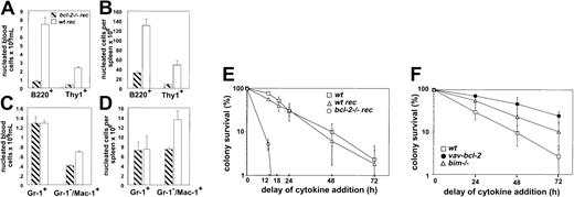 Fig. 2. Bcl-2 is a critical determinant of the sensitivity of early myeloid progenitors to cytokine withdrawal. / Chimeric mice with a bcl-2−/− or wt hematopoietic system were generated by reconstitution of lethally irradiated C57BL/6-Ly5.1 mice with 2 × 106 fetal liver cells from E14 bcl-2−/− or wt embryos (C57BL/6-Ly5.2) produced from intercrosses ofbcl-2+/− animals. Absolute numbers of T cells, B cells, macrophages, and granulocytes in blood (A,C) or spleen (B,D) of reconstituted mice were determined by cell counting and flow cytometric analysis staining cells with surface marker–specific mAbs (anti-B220, anti–Thy-1, anti–Gr-1, or anti–Mac-1). Host and donor-derived cells were distinguished by staining with an FITC-conjugated mAb to Ly5.2. Data shown for the peripheral blood represent arithmetic means ± SEs of 9bcl-2−/− reconstituted and 5 wt reconstituted animals that were analyzed 10 weeks after fetal liver stem cell transplantation. Data shown for the spleen represent arithmetic means ± SEs of 6 bcl-2−/− and 4 wt reconstituted animals analyzed 10 to 16 weeks after reconstitution. (E-F) Survival analysis of bone marrow–derived myeloid progenitors. Cells (2.5 × 104) from bone marrow of (E) wt mice, lethally irradiated wt mice reconstituted with either wt or bcl-2−/− fetal liver stem cells, and from bone marrow of (F) wt, bim−/−, andbcl-2 transgenic mice were cultured in 0.3% agar in triplicate or quadruplicate and stimulated with mSCF (100 ng/mL) and mIL-3 (2500 U/mL). Cytokines were added at the time of plating or after a delay of 12, 18, 24, 48, or 72 hours. After 7 days of stimulation with cytokines at 37°C, colonies were counted using a dissection microscope. Data shown represent arithmetic means ± SDs of 2 to 3 independent experiments performed using 4 to 6 animals of each genotype.