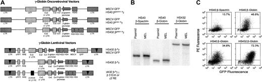 Fig. 1. Improved γ-globin vector expression using β-globin LCR elements in a lentiviral vector backbone. / (A) Schematic representations of oncoretroviral- and lentiviral-based γ-globin vectors. MSCV-based oncoretroviral vectors express GFP from the viral LTR and contain the different Aγ-globin cassettes in reverse orientation. The β-spectrin (−576) and β-globin promoters (−130), along with their respective 5′ untranslated sequences, were fused to the Aγ-globin coding sequence at position −3 and +1 relative to the endogenous translational start site. A 255-bp fragment containing the α-globin HS40 enhancer element was placed adjacent to the promoters. The same β-globin promoter, γ-globin coding sequences, and 3′ untranslated and downstream sequences (466 bp) were also placed downstream of β-globin LCR elements containing sites HS4 (756 bp), HS3 (898 bp), and HS2 (374 bp) in both oncoretroviral and HIV-based lentiviral vector backbones. The γ-globin gene contained a 720-bp deletion in the second intron in all of the vectors. The lentiviral vector HS432 β-Aγ MSCV-GFP also contained an MSCV LTR-driven GFP cassette. The GFP cassette was removed to yield HS432β-Aγ. d432β-Aγ contained a 311-bp deletion in HS4 outside of the “core” element. The β-globin enhancer (β 3′ Enh) or the γ-globin 3′ regulatory element (γ 3′ RE) was placed downstream of the γ-globin coding sequences to derive 2 additional lentiviral vectors. (B) Southern blot analysis, using a radiolabeled GFP probe, of DNA from MEL cells transduced with the oncoretroviral vectors MSCV-GFP HS40βspectrinAγ and MSCV-GFP HS40βglobinAγ and the lentiviral vector HS432β-Aγ MSCV-GFP. DNA (10 μg) from each GFP+ MEL cell pool was digested to release a full- or near full–length proviral fragment. The respective plasmid DNAs for each construct were concurrently digested and run as controls for correct molecular size. (C) FACS analysis for γ-globin expression (PE fluorescence) following erythroid induction of MEL cells transduced with vectors containing the γ-globin expression cassette driven by the 5′ regulatory elements as indicated above each dot plot. The top row of dot plots shows representative results from 2 independent experiments comparing the 2 HS40-based oncoretroviral vectors. The bottom 2 dot plots are representative results from 3 independent experiments comparing the oncoretroviral-based HS40/β-globin promoter vector and lentiviral-based HS432/β-globin promoter vector. The percentage of γ-globin–positive cells relative to all transduced, GFP+ cells is indicated for each dot plot. MEL cells transduced with a vector encoding only GFP failed to show staining for γ-globin (data not shown).