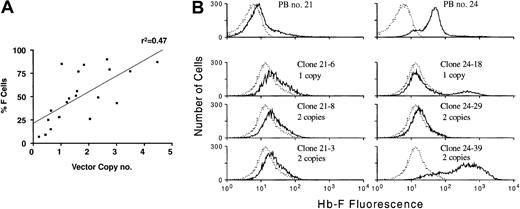 Fig. 7. Position effects lead to variable globin vector expression in vivo. / (A) Percent F cells versus average PBL vector copy number in animals that received transplants of β-thalassemic BM cells transduced with γ-globin lentiviral vectors. Although γ-globin expression is vector copy–related, linear regression analysis showed a correlation coefficient (r2) of 0.47, indicating some variability in correlation. Some animals with similar vector copy numbers show large differences in the proportion of expressing cells. (B) FACS analysis of γ-globin expression in PB red cells and in TER119-positive, clonal erythroid cells derived from secondary CFU-Ss of 2 animals that received transplants of globin vector transduced β-thalassemic BM cells. Top panels show γ-globin expression (solid lines) in the red cells of animals no. 21 and no. 24, with histograms of γ-globin expression (solid lines) in unique, clonal erythroid cells of each animal shown below. The number of vector copies present in each clone, as determined by Southern blot analysis, is indicated. Dotted lines in the histograms represent staining of a negative control sample.