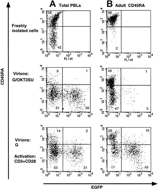 Fig. 1. Loss of naive phenotype after transduction of T cells with HIV-1–derived vectors displaying a CD3/TCR-stimulating ligand. / (A) Freshly isolated total human peripheral blood lymphocytes (PBLs) or (B) highly purified naive adult CD4+ T cells (> 98% CD45RA+) were transduced with anti-CD3 scFv-displaying lentiviral vectors pseudotyped with VSV-G (G/OKT3SU) in the absence of other exogenous factors using MOIs of 10 to 15. Control PBLs and naive T cells were transduced with VSV-G–pseudotyped lentiviral vectors (G) in the presence of soluble anti-CD3 and anti-CD28 monoclonal antibodies (1 μg/mL). The percentage of EGFP+ and naive T cells (CD45RA+) was determined 6 days after transduction by FACS analysis. The results are representative of 5 independent experiments.