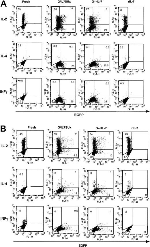 Fig. 6. Cytokine profile of IL-7 mediated lentiviral-transduced naive T cells. / Freshly isolated CD4+ naive CB T cells (A) and 6-day IL-7–prestimulated CD4+ adult naive T cells (B) were incubated for 6 days and 4 days, respectively, with IL-7–displaying VSV-G–pseudotyped vectors (G/IL7SUx) or VSV-G–pseudotyped vectors in the presence of IL-7. Control incubations were performed of CB T cells and adult T cells for 6 and 10 days, respectively, in the presence of rIL-7. At 5 hours prior to assessment of IL-2, IL-4, and INFγ accumulation, these T-cells subsets were activated with PMA and ionomycin. The percentage of cells in each region is indicated. The results are representative of 3 independent experiments.