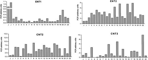 Fig. 1. Nucleoside transporter mRNA expression levels in CLL cells. / CT values for nucleoside transporter RT-PCR amplification from CLL cDNA have been normalized to an endogenous reference gene (β-glucuronidase). mRNA expression levels are given in arbitrary units, using the JVM-2 cell line as reference control. PCR arbitrary units were defined as described in “Patients, materials, and methods.”