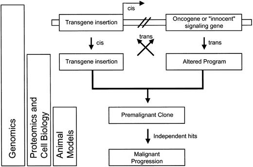 Fig. 5. Schematic overview of potential interactions between genotoxicity (alteration of cellular genes by vector insertion) and phenotoxicity (side effects of transgene expression), and experimental approaches allowing their detection. / Interaction may either occur in cis (on the same DNA molecule) or in trans (through mobile factors).