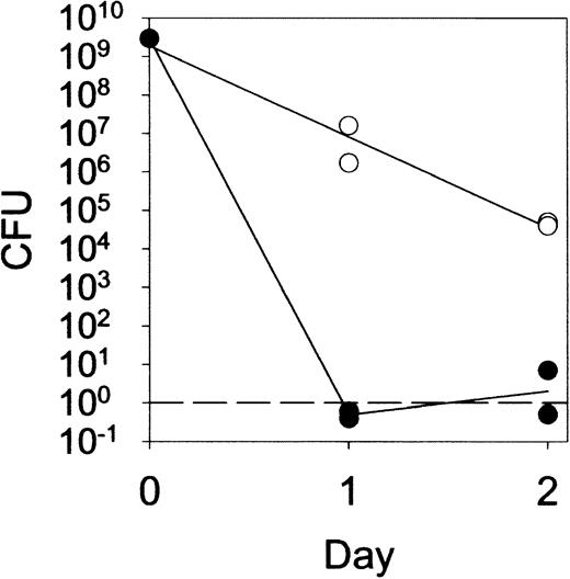 Fig. 7. Prolonged survival of. / M luteus in lesions of lys M−/− mice compared with F2 control mice. The infected tissue was removed with a curette, weighed, and homogenized, and the M luteuscount determined by colony-forming assay with a threshold of 1 colony-forming unit (CFU) per lesion.