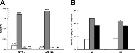 Fig. 4. AZT is phosphorylated in PEL cells. / (A) Primary PEL cells (BCLM) phosphorylate AZT to AZTMP. A total of 5 × 106 BCLM cells were treated with 3H-AZT and cold AZT (5 μg/mL) for 3 and 24 hours. Methanol extracts were then subjected to HPLC fractionation to separate the different forms of AZT. White bar (■) indicates AZT; gray bar (░), AZTMP; black bar (▪), AZTDP; and vertical lined bar (▥), AZTTP. (B) Quantification of total phosphorylation of AZT in HHV-8+ PEL cells versus viral negative B-cell lymphoma (BJAB). A total of 5 × 106 HHV-8+ PEL (BCLM, BCBL-1) and BJAB cells were treated with 3H-AZT and cold AZT (5 μg/mL) for 3 and 24 hours. Methanol extracts were then subjected to HPLC, and all forms of phosphorylated AZT were quantitated by β-scintillation counting. White bar (■) indicates BJAB; gray bar (░), BCLM; and black bar (▪), BCBL-1.