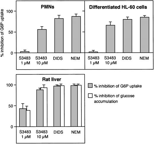 Fig. 2. Comparison of the effect of G6PT inhibitors in microsomes from human PMNs, differentiated HL-60 cells, and rat liver. / Microsomes from the indicated cell types were preincubated with 10 μM S3483 for 5 minutes at 22°C, 0.5 mM DIDS for 10 minutes at 22°C, or treated with 1 mM N-ethylmaleimide (NEM) as described in Fulceri et al.33 G6P uptake (and the case of liver microsomes, also intravesicular glucose accumulation) was then assayed radioisotopically by rapid filtration. Data are expressed as percent of inhibition. Values are means ± SEMs of 3 to 5 independent experiments.