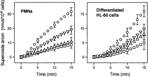 Fig. 3. Effect of the S3483 compound on superoxide anion production in human PMNs and differentiated HL-60 cells. / Cells (1 × 106/mL) were pretreated (1 hour at 37°C) with solvent alone (10 μL/mL ethanol, ○), or with 50 (▿), 100 (▵), or 200 (■) μM S3484. Superoxide anion production was then induced by adding 1 μg/mL PMA. Values shown are means of 4 to 6 independent experiments; SEMs are shown for selected points only.