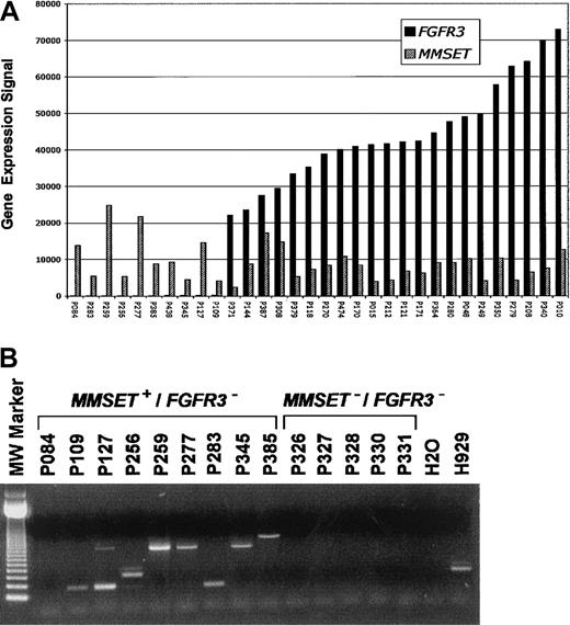 Fig. 1. FGFR3 and/or MMSET activation in a subset of MM is associated with the presence of the t(4;14)(p16;q32). / (A) A bar graph of normalized mRNA expression levels forFGFR3 (▪) and/or MMSET (▨) from CD138-enriched PCs from 32 MM cases. The gene expression signal (a quantitative value of gene expression derived from fluorescence intensity of cRNA hybridization derived from Affymetrix microarray hybridization) is on the vertical axis and samples are on the horizontal axis. The samples are ordered from left to right based on increasing level of expression of FGFR3. (B) A total of 14 MM samples, 9 with MMSET expression but lackingFGFR3 (MMSET+/FGFR3−) and 5 lacking expression of both, (MMSET−/FGFR3−) as observed in microarray experiments, were analyzed for the presence of the t(4;14)(p16;q32) translocation–specific IGHJH2/FMMSET fusion transcript. There were 8 MMSET+/FGFR3− samples positive for the fusion transcript. The size of the PCR product is dependent on the breakpoint position. One MMSET+/FGFR3− case, (P084), negative for both JH1 and JH2 fusion transcripts, was confirmed to have the t(4;14)(p16;q32) by FISH. All 5 MMSET−/FGFR3−cases were negative for the fusion transcript. Previous studies have shown that FGFR3 spike cases exhibit fusion transcripts.3 A negative control (H2O) and positive control (human MM cell line H929) are located to the right. The 123–base pair DNA molecular-weight size standard is to the left.