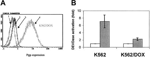 Fig. 1. Expression of the Pgp. / MDR-1 gene product in K562 and K562/DOX. (A) Flow cytometric analysis of Pgp expression in K562 and K562/DOX: (1) isotypic control for K562/DOX; (2) isotypic control for K562; (3) Pgp for K562; (4) Pgp for K562/DOX. (B) Caspase-3 activity in 105 cells after 24 hours in culture without (■, control) or with (1 μM) imatinib (░). Results represent the mean ± SD of triplicate cultures. The difference between the 2 treated cultures is statistically significant (P = .004; Student t test).