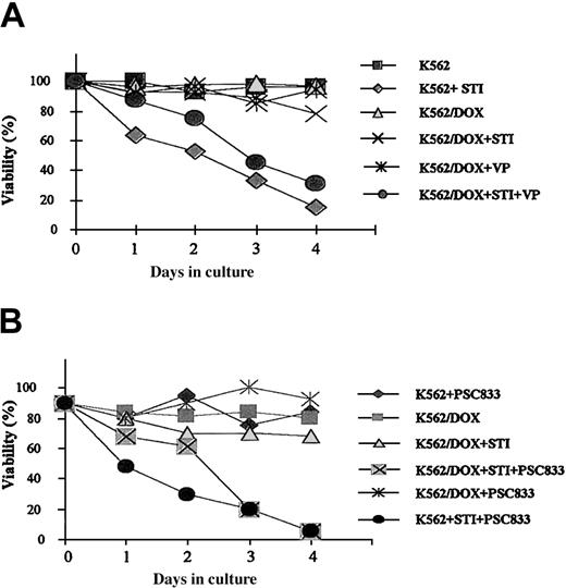 Fig. 2. Growth characteristics of K562/DOX. / (A) Cell viability assessed by trypan blue exclusion of K562/DOX and the parental K562 cell line cultured in the presence or absence of 1 μM imatinib (STI) or 5 μg/mL verapamil (VP) or both. (B) Cell viability of K562/DOX and K562 in the presence or absence of 1 μM imatinib (STI) or 1 μM PSC833 or both.