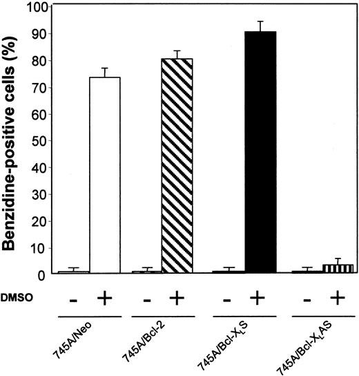 Fig. 3. Bcl-XL antisense inhibits erythroid differentiation in DMSO-induced MEL cells. / MEL cells were initiated at a cell density of 105 cells/mL and cultured with or without 2% DMSO. After 4 days of culture, the proportion of differentiated cells was measured by benzidine staining. All data represent the mean of triplicate cultures ± standard deviation.