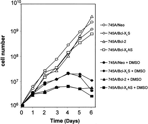 Fig. 4. Overexpression or inhibition of Bcl-XL does not prevent growth arrest of DMSO-treated MEL cells. / MEL cells were seeded at 105 cells/mL with or without 2% DMSO. Every 2 days, an aliquot of each culture was removed and transferred to fresh medium without or with inducer at 105cells/mL. The results are expressed as the cumulative cell number versus time.