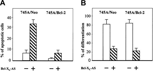 Fig. 5. Bcl-XL antisense oligonucleotide does not induce apoptosis but inhibits hemoglobin synthesis in MEL cells overexpressing Bcl-2. / 745A/Neo and 745A/Bcl-2 cells were seeded at 105 cells/mL and cultured in the presence of 2% DMSO with or without Bcl-XL antisense oligonucleotide (Bcl-XL-AS). At 5 days after DMSO treatment, the following parameters were determined: (A) percentage of apoptotic cells measured by staining cells with a mixture of ethidium bromide (EB) and acridine orange (AO) (data represent the mean of quadruplicate cultures ± standard deviation); (B) proportion of differentiated cells measured by benzidine staining (data represent the mean of quadruplicate cultures ± standard deviation).