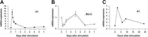 Fig. 1. A1 and Bcl-2 gene expression in activated splenocytes. / (A-B) Splenocytes from wild-type mice were treated with Con A for the indicated times and gene expression was determined by Northern blot analysis normalized to 28S rRNA. Data from 3 similar experiments are pooled. Within each experiment values are relative to the value for unstimulated cells (set to 1). Each point represents the mean ± SE for 3 to 6 mice, except for 9 hours (n = 1) and 16 hours (n = 2). The total number of measurements is 30 for A1 and 25 for Bcl-2. (C) Purified splenic T cells were activated with αCD3 plus αCD28 for the indicated times and analyzed by the RNase protection assay (RPA). A1 expression is normalized to L32.