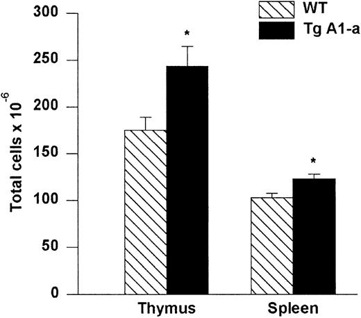 Fig. 3. Absolute cell numbers of A1-a Tg thymus and spleen. / Dissected thymi and spleens from wild-type (WT) and Tg littermates were meshed and cells in suspension were counted. The values represent mean ± SE of 9 thymi and 17 spleens. *P < .01 byt test.