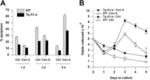 Fig. 5. Effect of Tg A1-a on splenocyte apoptosis. / Splenocytes were cultured for the indicated times in either control medium (Ctrl) or with Con A. (A) Apoptosis was determined as percent hypodiploid nuclei. (B) Viable cell accumulation was measured by trypan blue exclusion. Values represent the mean ± SE for 3 mice. The data are representative of 7 similar experiments.