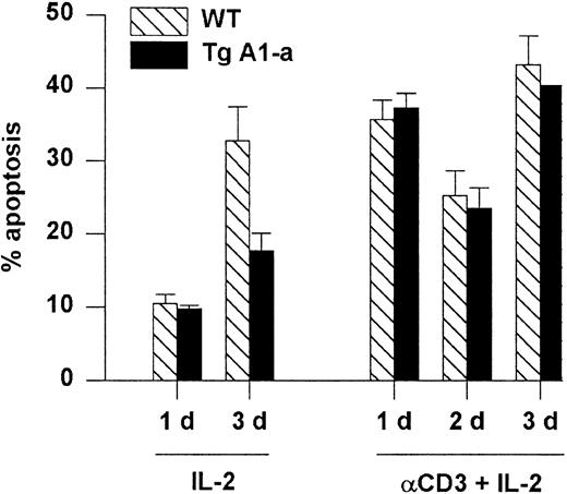 Fig. 7. Tg A1-a does not protect against reactivation-induced AICD. / Following primary activation with Con A and IL-2, splenocytes were cultured in the presence of IL-2 either on control or αCD3-coated plates. Apoptosis was measured as percent hypodiploid nuclei. Values represent the mean ± SE for 3 mice. At 1 day after reactivation the mean percentage of T cells in the cultures (measured as the percentage of PI-excluding cells expressing either CD4 or CD8) was 86% (range, 83%-89%). The data are representative of 3 similar experiments.