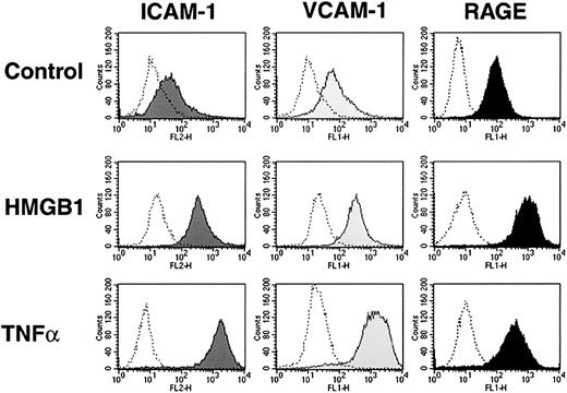 Fig. 2. rhHMGB1 induces the expression of adhesion molecules ICAM-1 and VCAM-1, as well as RAGE receptor on HMEC-1 cells. / Flow cytometry histograms showing the expression of ICAM-1, VCAM-1, and RAGE after 24 hours' incubation with media alone, rhHMGB1 50 ng/mL, or TNFα 10 ng/mL. One representative example of 9 experiments is shown. The shaded histograms represent binding of anti–ICAM-1, anti–VCAM-1, and anti-RAGE antibodies, and the open histograms show binding of the respective isotype controls.