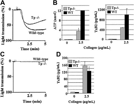 Fig. 1. ADP- and TxA2-induced signaling is required to cause aggregation in response to a low concentration of collagen. / Wild-type (WT) or Tp-deficient (Tp−/−) platelets in plasma were activated with a low concentration (2.5 μg/mL) of collagen. Tp-deficient platelet aggregation was diminished and reversible (A), and ATP secretion and TxA2 production levels were substantially diminished in response to a low concentration of collagen (B). After preincubation with apyrase (10 U/mL), A3P5P (2mM), and AR-C69931MX (2 μM) for 3 minutes, wild-type and Tp-deficient platelets were activated with a low concentration (2.5 μg/mL) of collagen. Aggregation of both Tp-deficient and wild-type platelets was inhibited in response to a low concentration of collagen (C). TxA2 production from both Tp-deficient and wild-type platelets treated with apyrase, A3P5P, and AR-C69931MX were similar in response to a low concentration of collagen (D), although the level of TxA2 production was substantially less than in the platelets untreated with apyrase and the ADP receptor antagonists (B,D). Data were obtained from 6 tests. Bars represent means ± SEM.