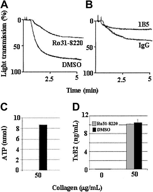 Fig. 3. A high concentration of collagen can induce secretion-independent aggregation. / Tp-deficient platelets were stimulated with a high concentration (50 μg/mL) of collagen in the presence of 10 μM Ro31-8220 (a PKC inhibitor that prevents secretion) or dimethyl sulfoxide (DMSO) as a control. Ro31-8220 did not prevent aggregation induced by a high level of collagen but did affect the maximal aggregation response (A). Collagen (50 μg/mL)–induced aggregation of Ro31-8220–treated Tp-deficient platelets was inhibited by incubating the platelets with 10μg/mL hamster monoclonal antimouse αIIbβ3 antibody 1B5, but not by 10μg/mL hamster control IgG (B). Treatment of Tp-deficient platelets with Ro31-8220 prevents collagen-induced ATP secretion (C) but does not affect TxA2 production (D). Thus, Ro31-8220 affects only PKC activation and secretion and does not affect collagen-induced TxA2 production. Data were obtained from 3 tests. Bars represent means ± SEM.