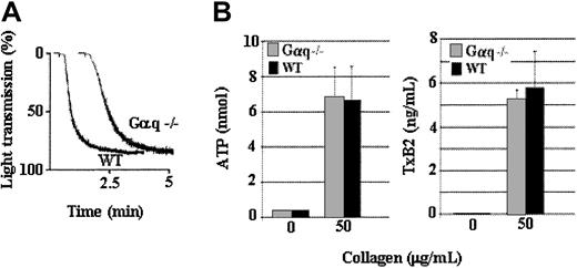 Fig. 5. A high concentration of collagen induces Gαq-independent aggregation. / Gαq-deficient (Gαq−/−) and wild-type (WT) platelets were stimulated with a high level (50 μg/mL) of collagen. Gαq-deficient platelets aggregated in response to a high level of collagen, and the extent of aggregation was undiminished in comparison to wild-type platelets (A). Gαq-deficient platelets secrete ATP (B) and produce TxA2 (C) to a level similar to that of the wild-type platelets. Data were obtained from 2 tests. Bars represent means ± SEM.