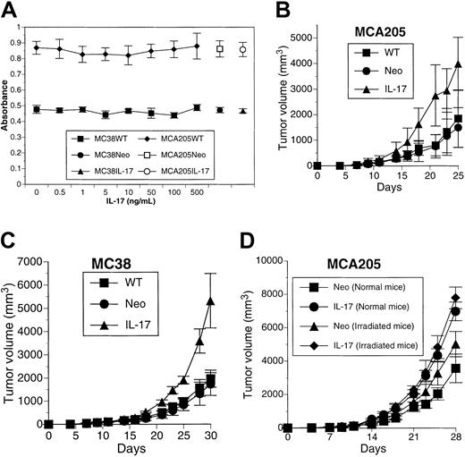 Fig. 1. IL-17 promotes in vivo tumor growth in a nonirradiation-dependent fashion. / (A) Recombinant IL-17 protein or transduction of the IL-17gene has no direct effect on in vitro growth of tumor cells determined by MTT assay. Each value represents mean ± SD (n = 5). (B-C) Mice were inoculated with MCA205WT, MCA205Neo, or MCA205IL-17 or with MC38WT, MC38Neo, or MC38IL-17. Each value represents mean tumor volume (cubic millimeter) ± SD for 6 or 7 mice per group. The result is a representative of 3 independent experiments. (D) Mice were irradiated with 500 rad whole-body irradiation before inoculation with MCA205Neo or MCA205IL-17. Each value represents mean tumor volume (cubic millimeter) ± SD for 5 mice per group. The result is a representative of 2 independent experiments.
