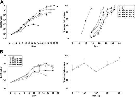Fig. 1. Effect of Dex on erythroid cell growth and maturation. / (A) Growth curve from minibulk HPC erythroid cultures supplemented or not supplemented with KL (100 ng/mL) and graded amounts of Dex (10−9 to 10−6 M). C indicates control. Total cell number (left) and percentage of mature erythroblasts (polychromatophilic 2 + orthochromatic erythroblasts) during erythroid differentiation (right) are shown. Mean ± SEM values from 5 separate experiments. Variance analysis was performed to evaluate the difference between KL and each Dex dose.P < .001 when comparing KL with Dex 10−7 or 10−8 M. The difference between KL and Dex 10−6 or 10−9 M is not significant. (B) Left panel, total cell number from minibulk erythroid cultures supplemented only with Dex; right panel, erythroid maturation, as evaluated in terms of mature erythroblasts on days 14 to 16 of culture. C indicates control. Mean ± SEM values from 4 separate experiments.P < .01 and P < .001 when comparing C with Dex 10−7 and 10−8 M, respectively.