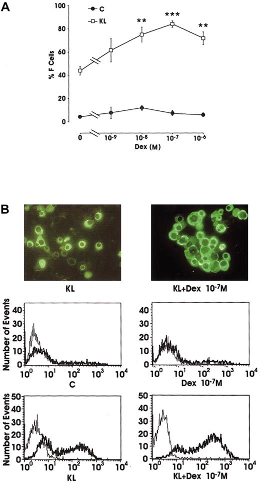 Fig. 2. F-cell analysis. / (A) Percentage of F cells in minibulk unilineage erythroid cultures supplemented or not supplemented with KL ± graded amounts of Dex (10−9 to 10−6 M). C indicates control cultures. Mean ± SEM values from 5 separate experiments. **P < .01 and ***P < .001 when compared with KL alone. The difference between KL and KL + Dex 10−9 M and between C and all Dex dosages is not significant. (B) F-cell evaluation by indirect immunofluorescence labeling (top; original magnification × 400) or by flow cytometry (middle and bottom; thin lines indicate negative controls, and thick lines, anti-HbF Ab–treated cells). Representative results are shown.