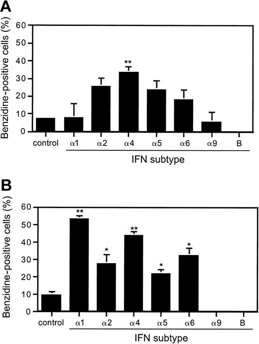 Fig. 2. Effect of type I IFNs on J2E erythroid cell differentiation. / J2E cells were seeded at 5 × 104 cells/mL and stimulated with IFN subtypes at (A) 100 and (B) 1000 IU/mL. Hemoglobin production was measured by benzidine staining at 48 hours of culture. (statistical significance compared with unstimulated J2E cells, *P ≤ .05; **P ≤ .01; mean ± SE, n = 3).