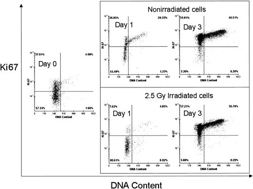 Fig. 2. In vitro effect of 4F on CD34+ cell cycle distribution. / Unirradiated and in vitro–irradiated (2.5 Gy) baboon-mobilized PB CD34+ cells were incubated for 7 days in serum-free medium in the presence of 4F. Cell cycle analysis was performed by flow cytometry before and after 1 and 3 days of culture. G0, G1, and S/G2/M cell content was determined using triple labeling with anti-CD34-PE mAb, anti-Ki67-FITC mAb, and 7 AAD. Cell cycle phenotype of gated CD34+ cells is shown as a biparametric dot plot. x-axis indicates DNA/7 AAD cell content; y-axis, nuclear protein Ki67 cell content. Lower left quadrant, G0CD34+ cells; upper left quadrant, G1CD34+ cells; upper right quadrant, S/G2/M CD34+ cells. Results are taken from tests on one representative baboon.