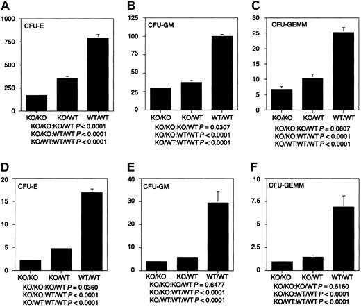 Fig. 3. Hematopoietic colony-forming potential of fetal liver cells. / Dissociated E14.5 fetal liver cells were cultured in Methocult GF M3434 (StemCell Technologies) in triplicate at 1.5 × 104cells/mL at 37°C and 5% CO2. CFU-Es were counted after 2 days of culture, CFU-GMs after 10 days of culture, and CFU-GEMMs after 14 days of culture. (A-C) CFU-E, CFU-GM, and CFU-GEMM per 1.5 × 104 fetal liver cells, respectively. (D-F) CFU-E × 10−4, CFU-GM × 10−4, and CFU-GEMM × 10−3 per fetal liver, respectively. Fifteen KO/KO embryos, 20 KO/WT embryos, and 16 WT/WT embryos were used in these analyses. KO indicates knockout.
