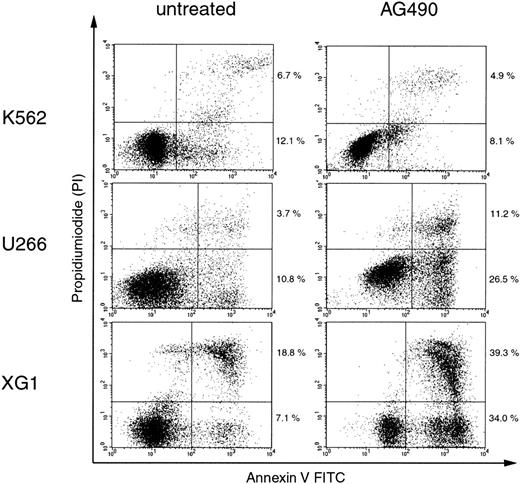 Fig. 3. AG490 induces apoptosis in cell lines with hypermethylation-associated silencing of SOCS-1. / Cells were incubated with or without 50 μM AG490 for 96 hours before annexin V/PI staining and analysis by flow cytometry. Cells that are annexin V+ and PI− (lower right quadrants) represent early apoptotic cells, and cells that are annexin V+ and PI+ (upper right quadrants) represent late apoptotic and/or necrotic cells. The percentages of cells in the upper and lower right quadrants are indicated.