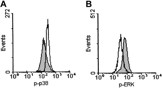 Fig. 8. Effect of EB1089 on MAP kinase activity in B-CLL cells. / Cells were incubated for 12 hours with 1 × 10−8 M EB1089 and were then stained with FITC-labeled phosphorylation-specific antibodies. (A) The p38 MAP kinase was phosphorylated following exposure to EB1089 (open histogram) when compared with the no-drug controls (shaded histogram). (B) In contrast, phosphorylation of ERK was inhibited by EB1089 (open histogram) when compared with the no-drug controls (shaded histogram).