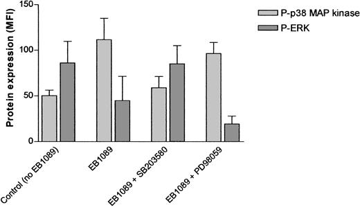 Fig. 9. Modulation of MAP kinase activity following exposure to EB1089. / A total of 1 × 10−8 M EB1089 induced marked phosphorylation of p38 MAP kinase and dephosphorylation of ERK after 8 hours in culture. The p38 inhibitor, SB203580, at a final concentration of 1μ M prevented EB1089-induced phosphorylation and downstream dephosphorylation of ERK. In contrast, the ERK inhibitor, PD98059, failed to prevent p38 MAP kinase phosphorylation despite effective inhibition of ERK. Data shown represent the mean (± SD) of duplicate experiments carried out on samples from 12 individual patients.