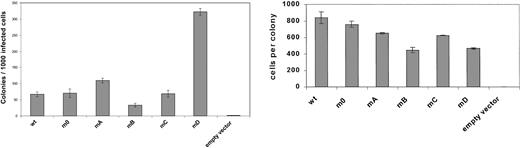 Fig. 3. Primary colony formation by gcsfr−/−bone marrow progenitors transduced with different G-CSF-R constructs. / Colonies were grown in the presence of 100 ng/mL G-CSF. Left panel shows mean colony numbers ± SD per 1000 infected bone marrow cells from triplicate colony dishes; data are representative of 4 independent experiments. Colony numbers were normalized to the numbers of infected cells based on puromycin resistance of CFU-GMs (responsive to GM-CSF) to correct for differences due to variations in transduction efficiencies. Right panel shows mean numbers of cells per colony ± SD from triplicate dishes.