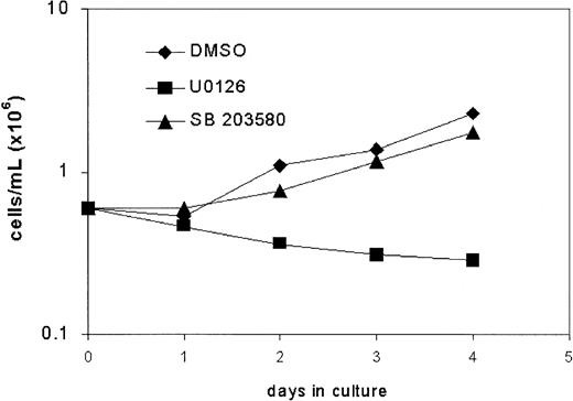 Fig. 6. Effects of inhibitors of MEK (U0126) and p38MAPK (SB203580) on proliferation of mD-expressing cells.